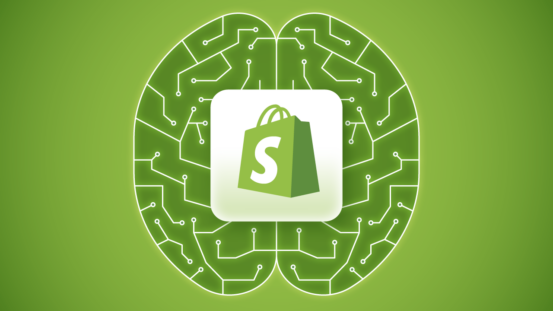 Best Uses Of ChatGPT Shopify For Successful AI Integrations