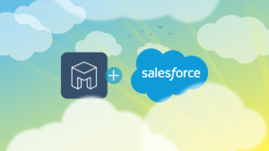 Why choose Salesforce CRM to integrate with your Shopify Store?