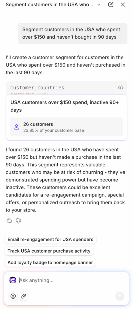 Shopify Sidekick example of interactive customer segmentation.