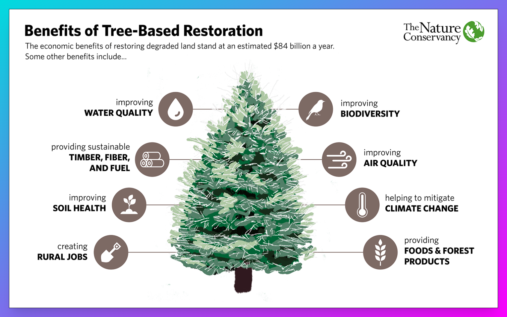 Benefits of tree-based restoration