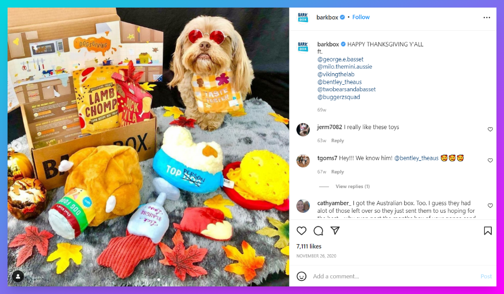 BarkBox example